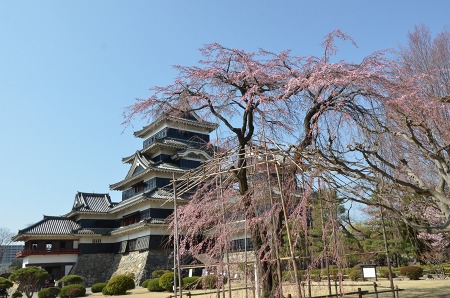 c0229483_22041.jpg