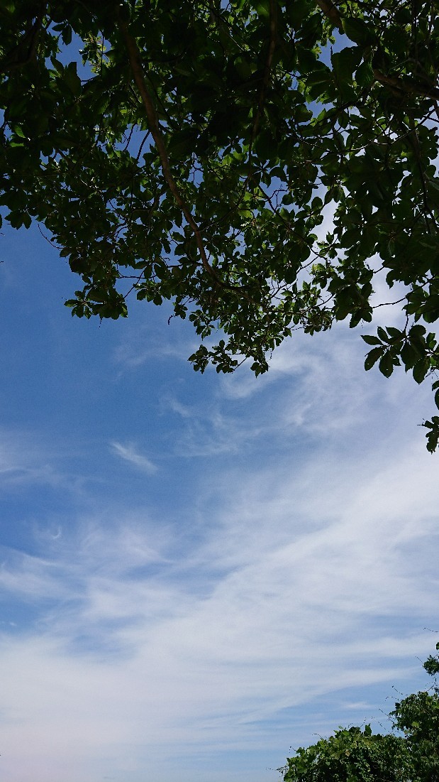 d0247789_13473157.jpg