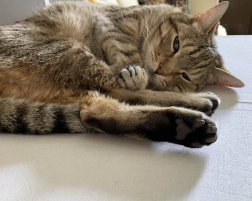 ワンピース 3_e0358096_19024424.jpeg