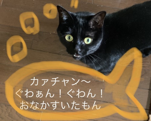 ワンピース 3_e0358096_19434972.jpeg