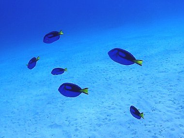 f0079996_11562470.jpg