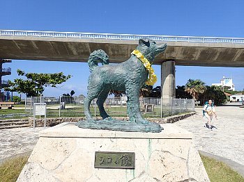 f0079996_12575442.jpg