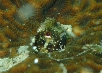f0079996_15424770.jpg