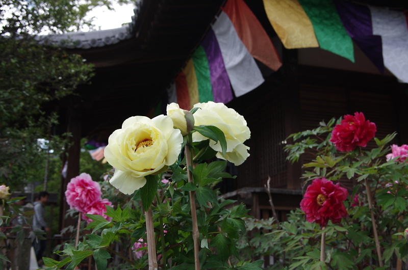 c0382798_10532625.jpg