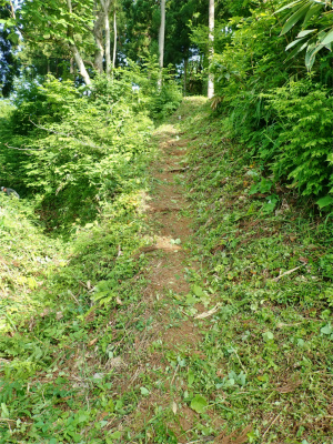 c0336902_21030754.jpg