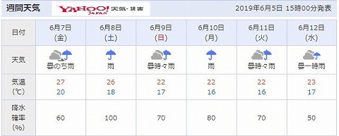 6/1(土)　野菜　サツマイモ定植_e0270403_16110512.jpg