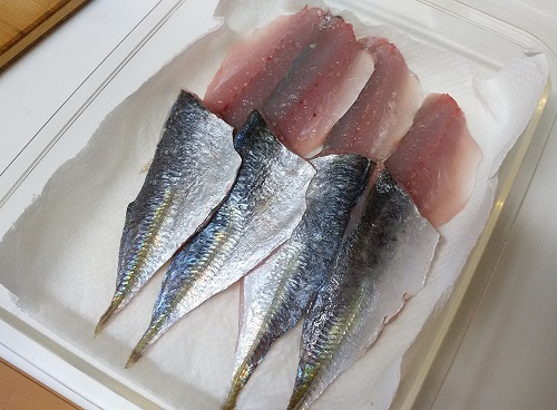 釣り人の食卓 アジの酢締めレシピ 波止釣り放浪記 Part3