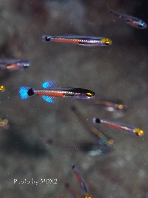 c0211615_16443689.jpg
