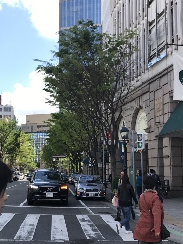 f0149716_17062023.jpeg