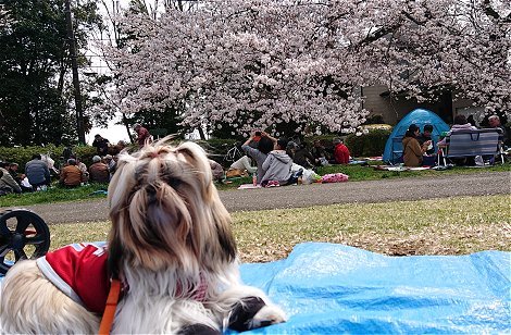 c0045628_22263090.jpg
