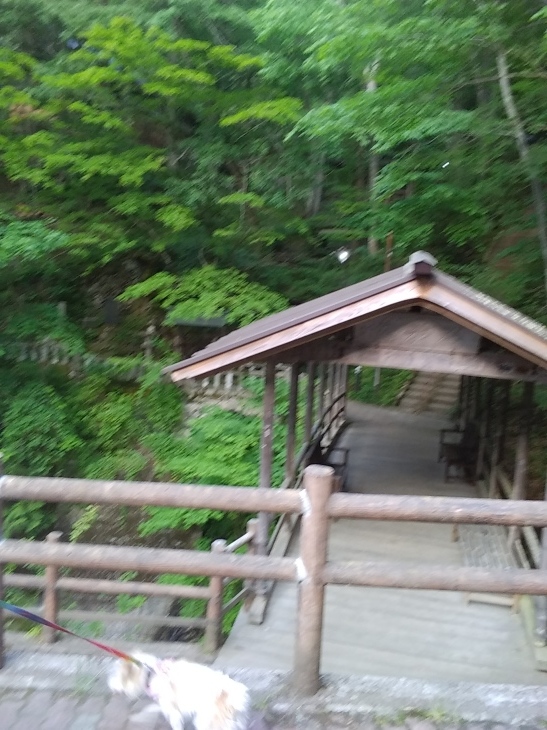 c0123029_19304276.jpg