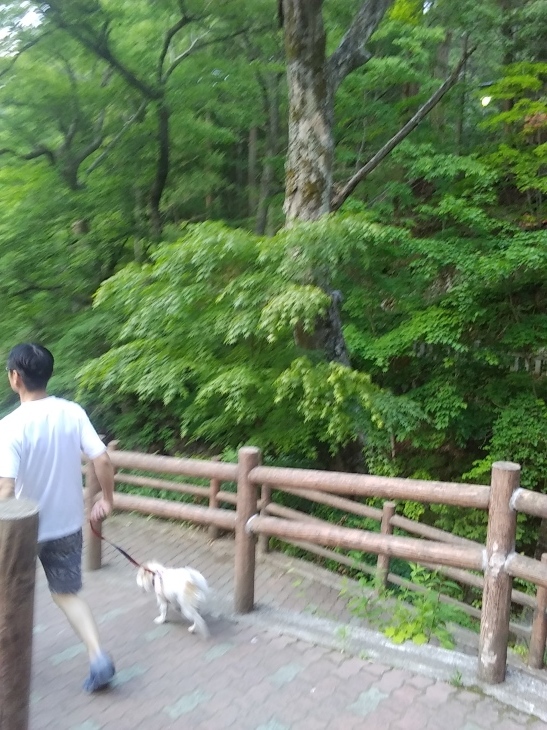 犬連れ旅行　長野県　鹿教湯温泉_c0123029_19305810.jpg