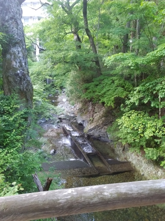 犬連れ旅行　長野県　鹿教湯温泉_c0123029_19313869.jpg