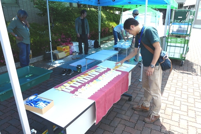 f0177529_21390796.jpg
