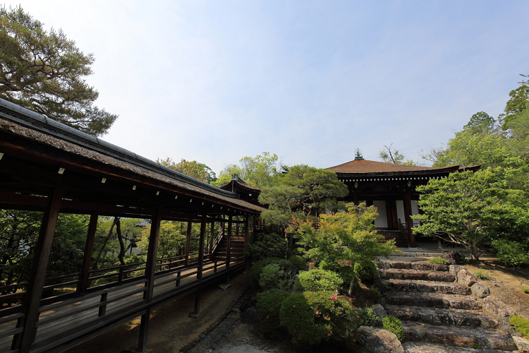 深緑の京都2019 －御室仁和寺（御殿内 北庭・南庭 特別拝観）－ _b0169330_23313083.jpg