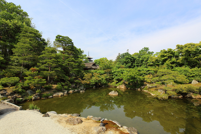 深緑の京都2019 －御室仁和寺（御殿内 北庭・南庭 特別拝観）－ _b0169330_2346272.jpg