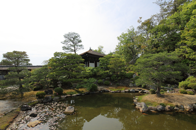 深緑の京都2019 －御室仁和寺（御殿内 北庭・南庭 特別拝観）－ _b0169330_2347364.jpg