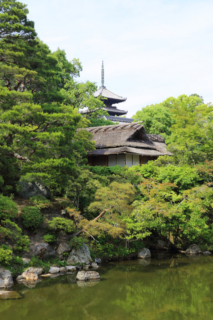 深緑の京都2019 －御室仁和寺（御殿内 北庭・南庭 特別拝観）－ _b0169330_23502968.jpg