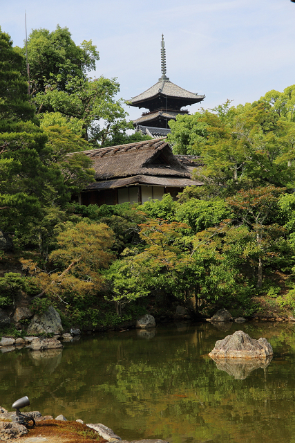 深緑の京都2019 －御室仁和寺（御殿内 北庭・南庭 特別拝観）－ _b0169330_23511244.jpg