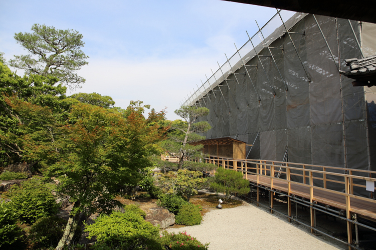 深緑の京都2019 －御室仁和寺（御殿内 北庭・南庭 特別拝観）－ _b0169330_235132.jpg