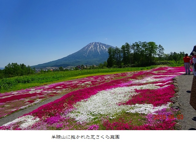 芝桜の旅_c0123031_124422.jpg