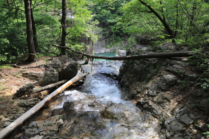 f0348831_23182106.jpg