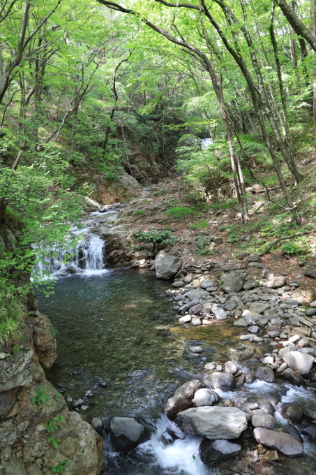 f0348831_23182153.jpg