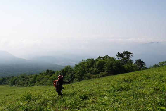 f0118332_21400619.jpg