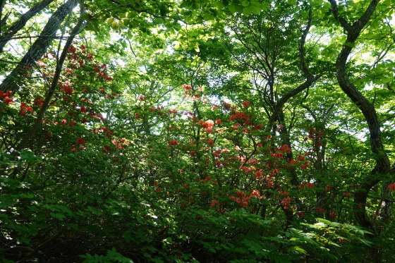 f0118332_21422535.jpg
