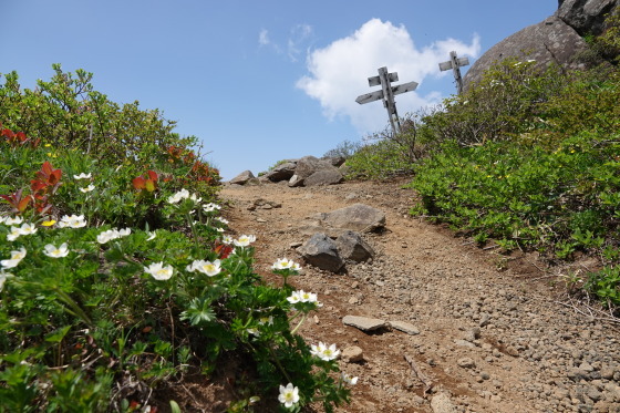 f0118332_21450110.jpg