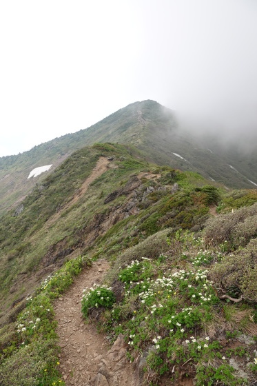f0118332_21544248.jpg