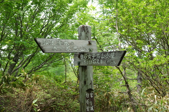 f0118332_21584004.jpg