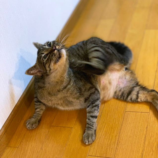 ほんの少しの変化_d0355333_22565960.jpg