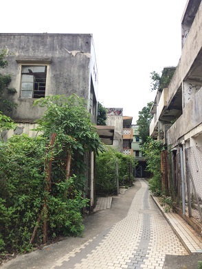 廃村を歩き、香港住宅問題を目の当たりにする☆Ma Wan\'s Abandoned Old Fishing Village_f0371533_13161479.jpg