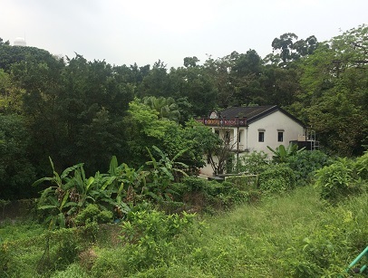 廃村を歩き、香港住宅問題を目の当たりにする☆Ma Wan\'s Abandoned Old Fishing Village_f0371533_13171594.jpg