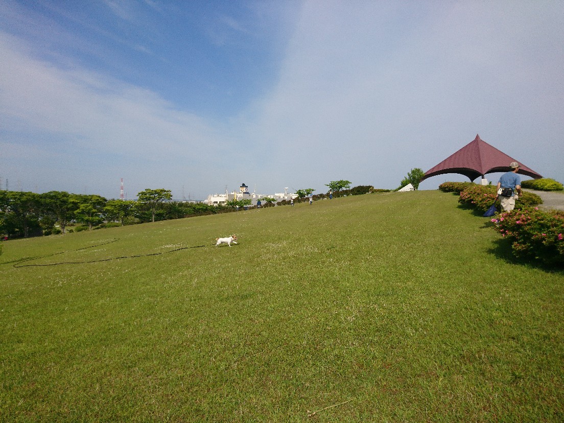 e0263536_18300020.jpg