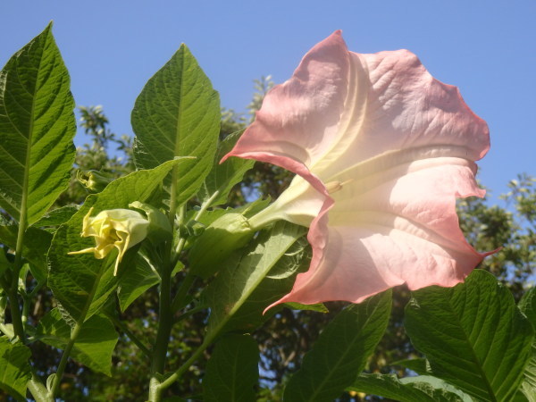 a0054240_21185149.jpg