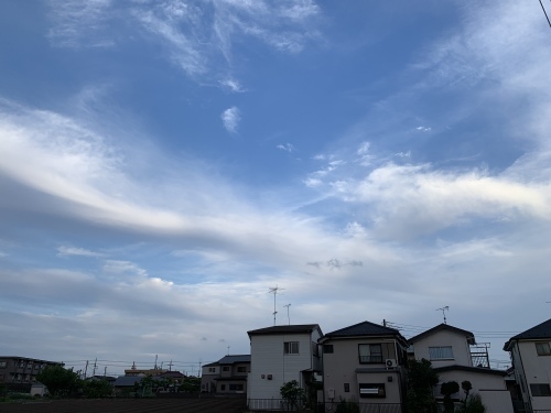 b0330040_14552439.jpeg