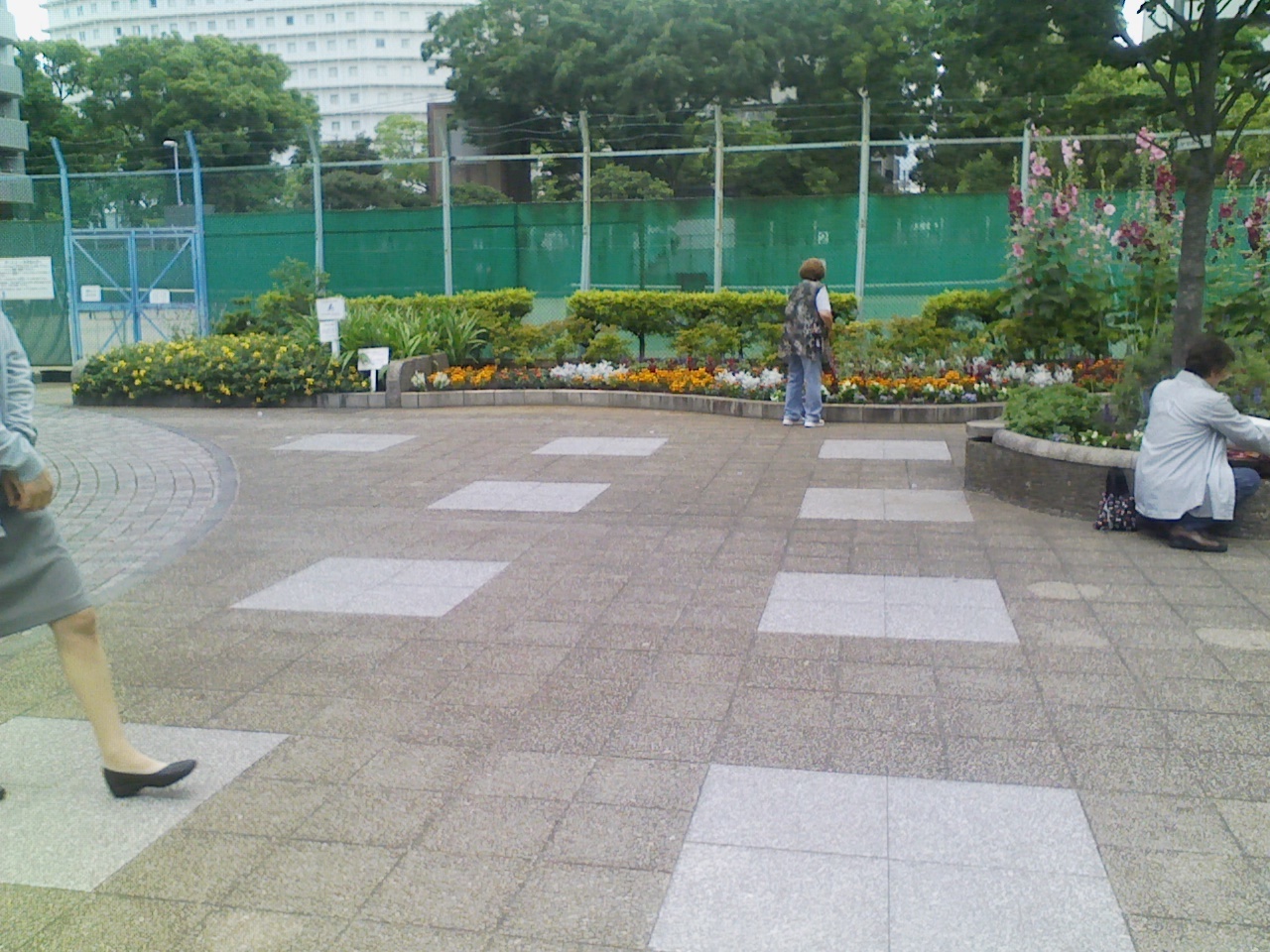 c0247346_20125255.jpg
