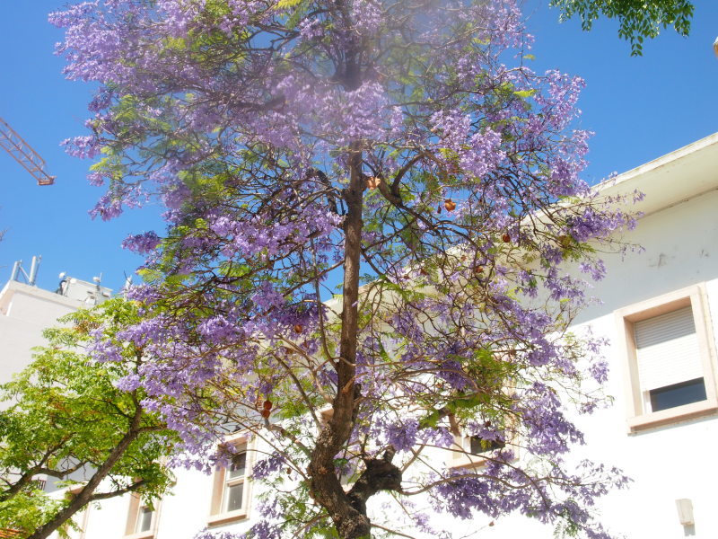 b0396150_06100970.jpg