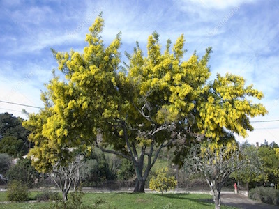 c0109850_13514377.jpg