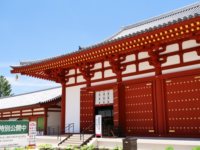 　　奈良・薬師寺　２０２３-０６-２７　００：００　_b0093754_21254970.jpg