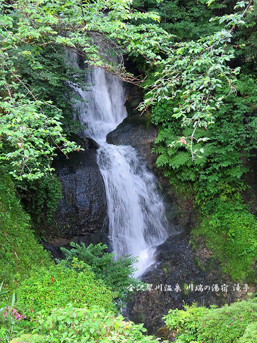 沢山の神様に出会う金沢 その4滝亭 Miwaの優しく楽しく