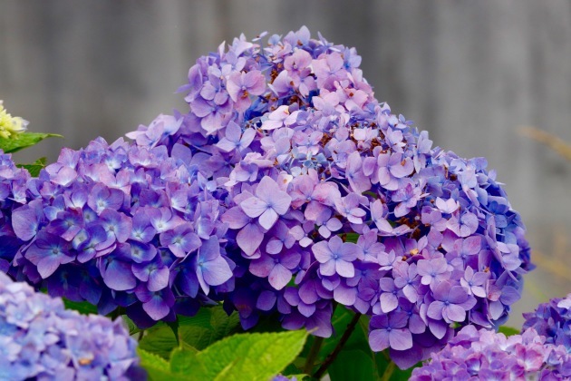 a0248459_14513115.jpg