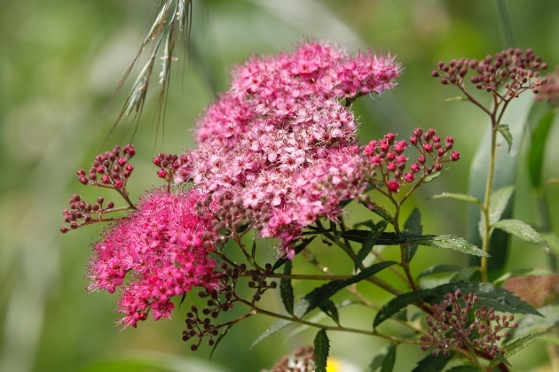 a0248459_14574449.jpg