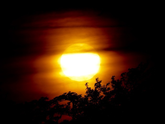 a0248459_15031343.jpg