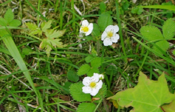d0164761_14290021.jpg