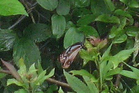 b0094265_08403707.jpg