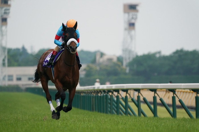 アーモンドアイが出走 第69回安田記念 2 返し馬 Turfに魅せられて 写真紀行