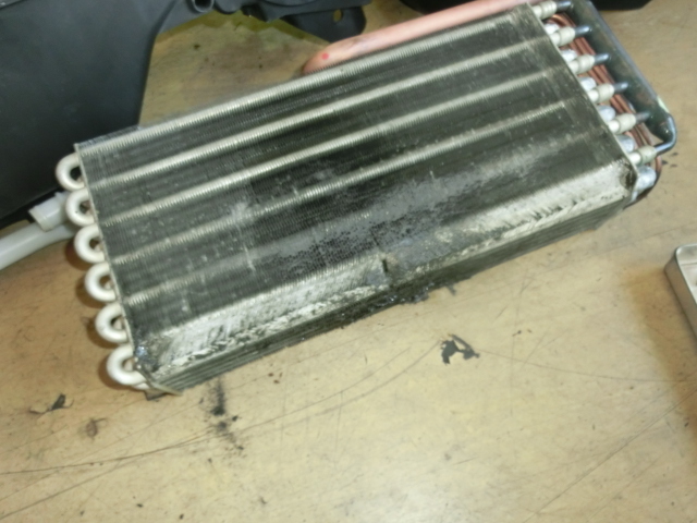 c0084268_10333150.jpg